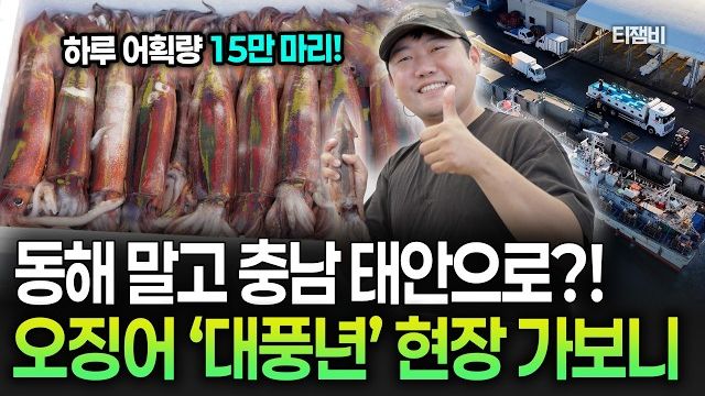 동영상썸네일