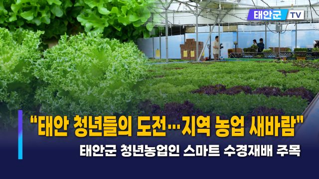 동영상썸네일