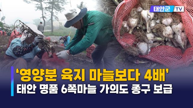 동영상썸네일