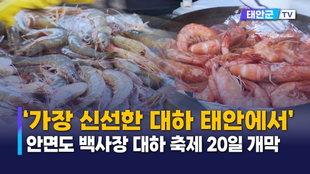 동영상썸네일
