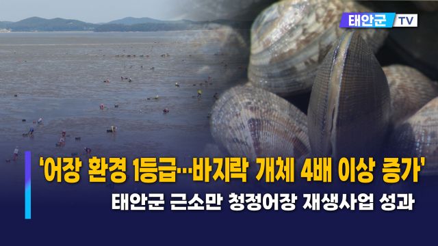 동영상썸네일