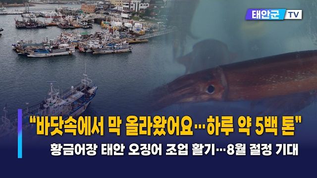 동영상썸네일