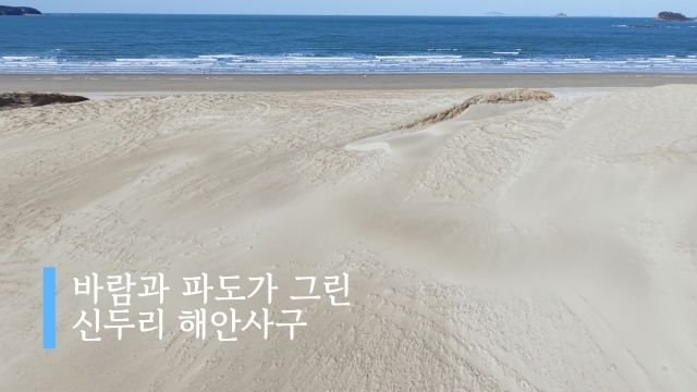 동영상썸네일
