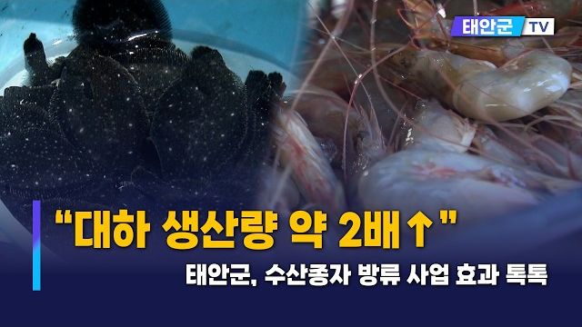 동영상썸네일
