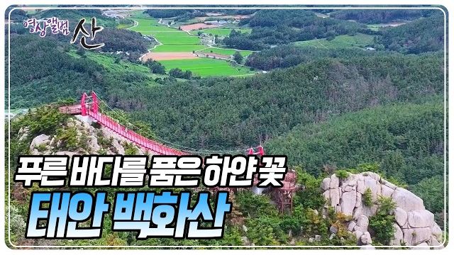 동영상썸네일