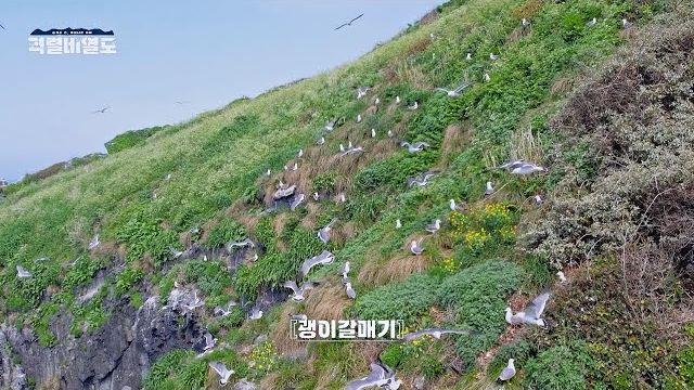 동영상썸네일