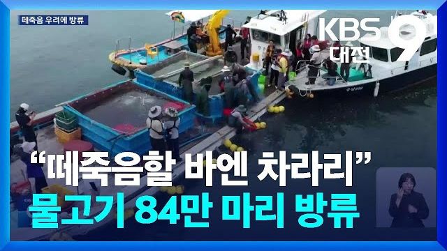 동영상썸네일