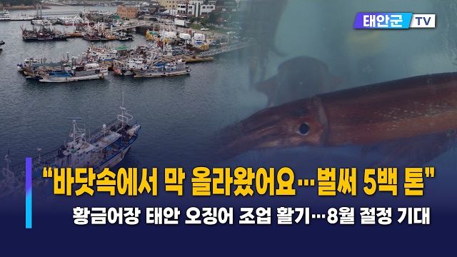 동영상썸네일