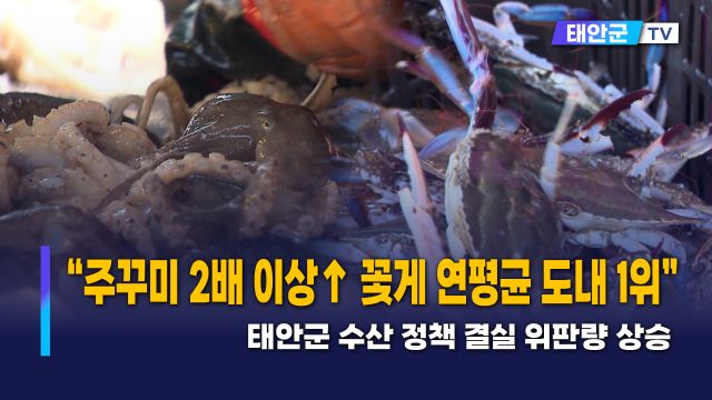 동영상썸네일