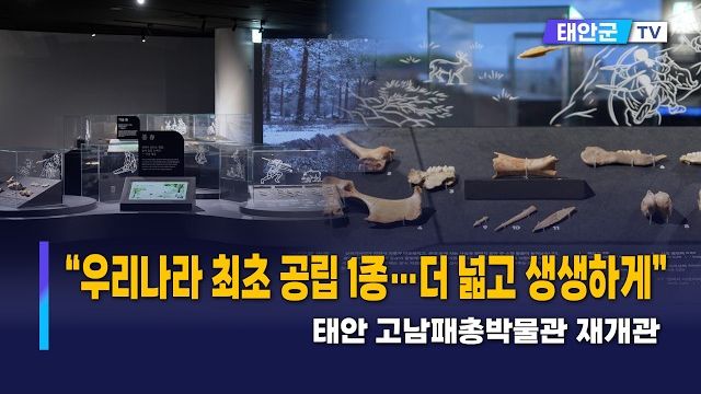 동영상썸네일