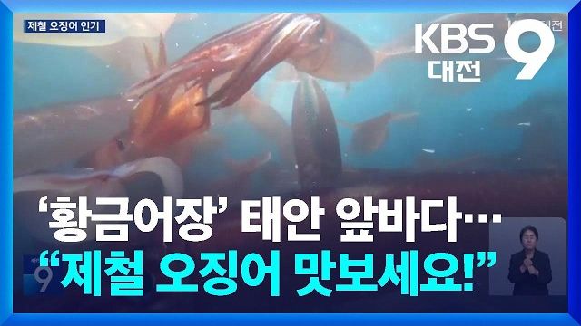 동영상썸네일