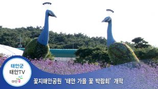 꽃지해안공원 `태안 가을 꽃 박람회