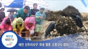 태안 신두리사구 국내 멸종 소똥구리 방사